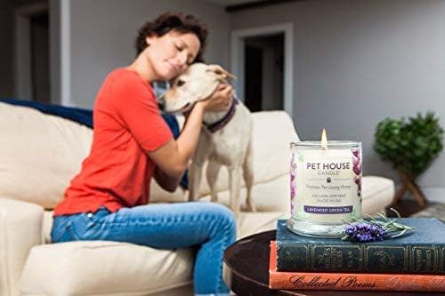 One Fur All Pet House Sentiments Candle - Lemon Verbena - Gift for Pet Lover - Pet Odor Eliminator Candle - Plant-Based Wax Candles - Non-Toxic - Pet-Friendly