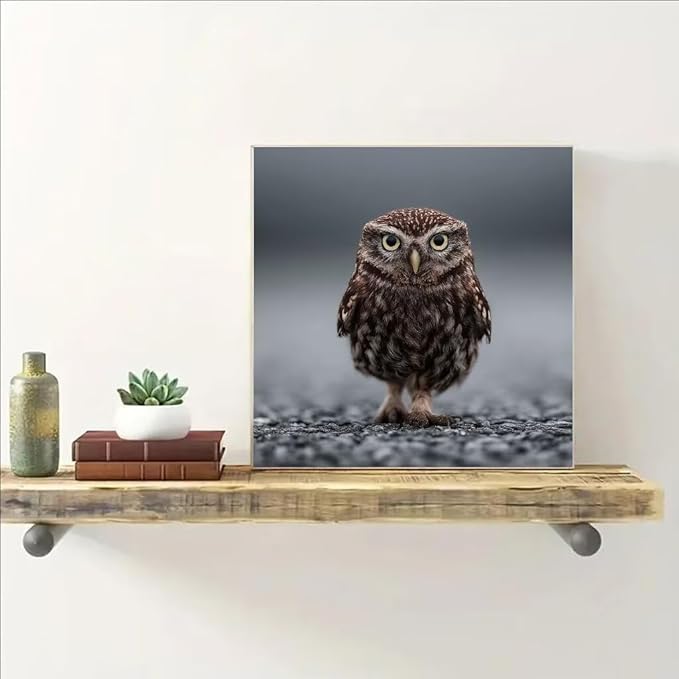 Diamond Art Kits for Adults Owl Diamond Painting Kit Animal, DIY Crafts for Adults 5D Full Square Drill Gem Art Embroidery Cross Stitch Painting Kit for Wall Decor, Birthday Girl 11.8x11.8inch 6-DU60