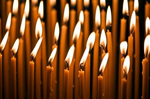 100% Beeswax 5 Hour Burning Candles Organic Hand Made - 9 Inches Tall, 1/2 Inch Thick; Tapers (24)