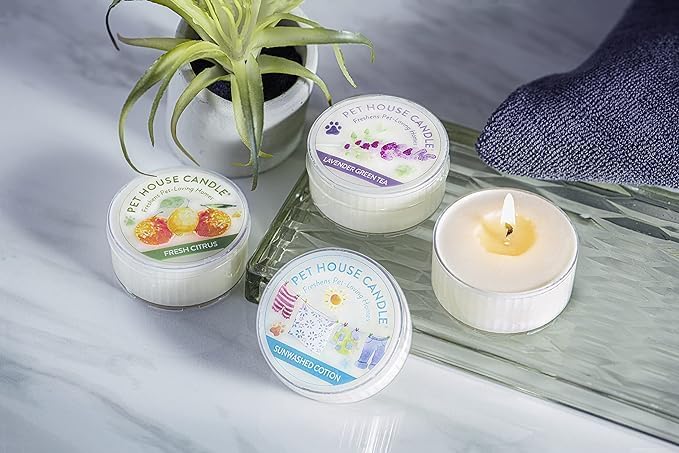 Pet House Mini Candles for Pet Odor Made with Natural Soy Wax, Plant Based, Dog and Cat Friendly Scented Candles, Bamboo Watermint Pack of 3