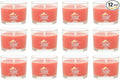 Yankee Candle Signature Votive Mini Candle Jar, Apple Pumpkin Scent, Natural Soy Wax Blend Candle with Natural Fiber Wick, 1.3 OZ Glass Jar (Pack of 12)