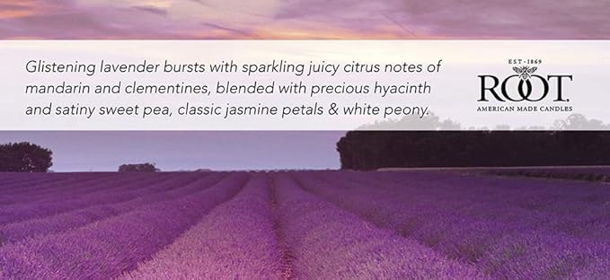 Root Candles Scented Candles Honeycomb Glass Premium Handcrafted Beeswax Blend 3-Wick Candle, 12-Ounce, Lavender Vanilla