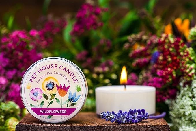 Pet House Mini Candles for Pet Odor Made with Natural Soy Wax, Plant Based, Dog and Cat Friendly Scented, Mandarin Sage Pack of 3