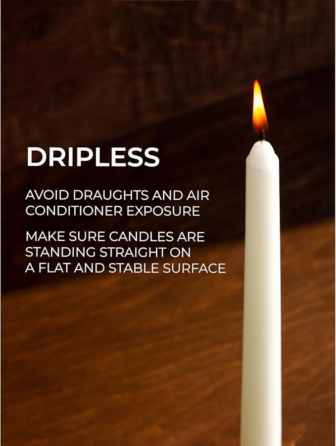 CANDWAX Candle Set of 12 Ivory Taper Candles 12 inch - No Drip and Ideal for Wedding Use - Long Burning and Unscented Candlesticks - Ivory Candles