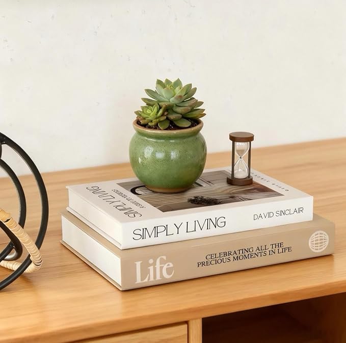 Decorative Books for Home Decor,2 Pcs Modern Minimalist Faux Book for Home Decoration,Coffee Table Decor,Living Room Aesthetic Accent (E1)