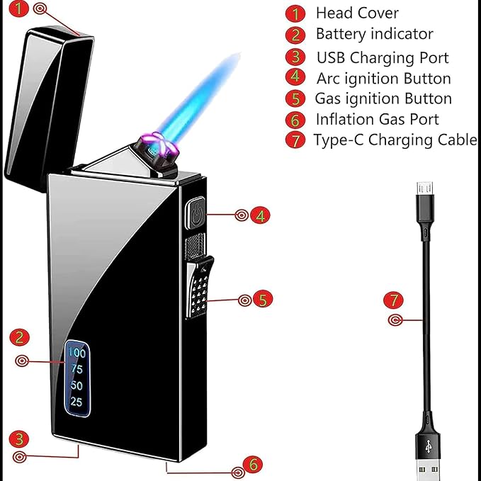 Torch Lighter, Dual Arc and Jet Flame - 2 in 1, USB Rechargeable with Battery Indicator, Refillable Windproof Plasma Lighter (No Butane) - Black