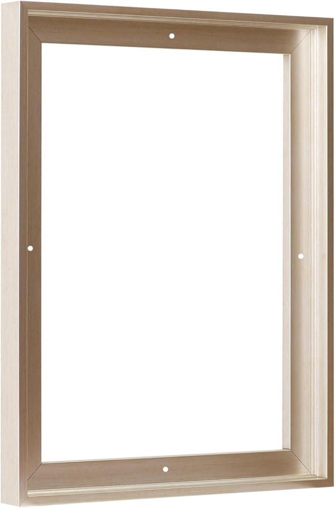 Pixy Canvas Floater Frame 16x20 for 3/4 (0.75) inch Deep Canvas Paintings/Canvas Prints/Wood Canvas Panels/Wall Art/Wall Decor/Home Decor/Artwork (Champagne, 16 x 20 inch, Portrait)