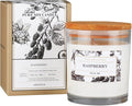 Aronica Raspberry Candle, Baby Shower Game Winner Gifts, Fruit Scented Soy Candles for Home, Fall Candles Bestfriend Gift, House Wax, Energizing Candle for Woman