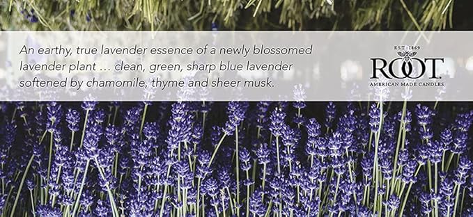 Root Candles Scented Candles Honeycomb Veriglass Premium Handcrafted Beeswax Blend Candle, Small, English Lavender