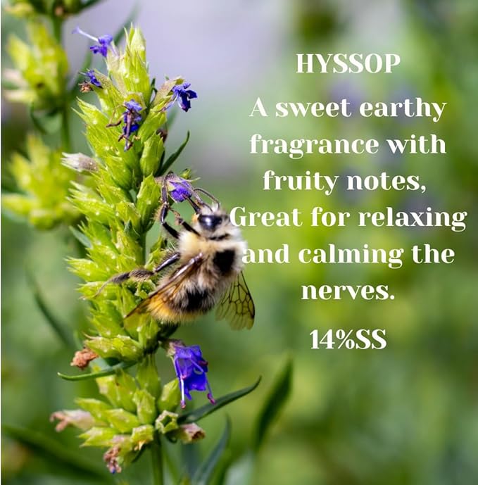 Hyssop from Our Floral Collection -14% SS - Perfect for Adding Aroma to Freshies, Candles, Soaps, and Diffusers - 4oz