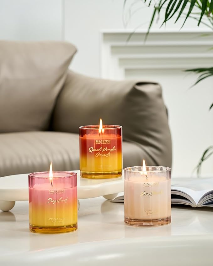 M&SENSE Grapefruit Scented Candles for Home, 10.6oz 60 Hours Non Toxic Natural Soy Candles in Glass Long Lasting Slow Burning, Unique Luxury Gifts Cozy Room Decor for Women Men