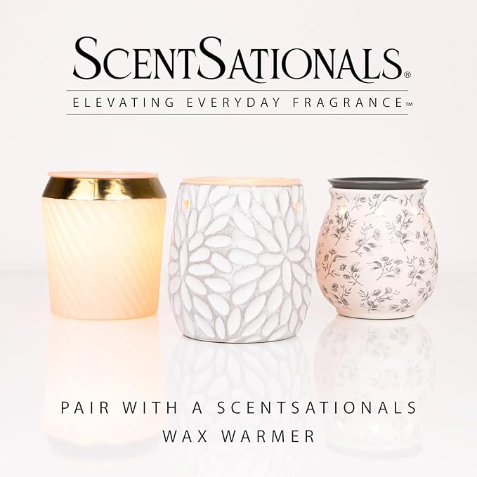 Scentsationals Wax Melts, Wax Cubes Strong Scent - Molten Orange - Long Lasting Scented Melts for Warmer, 10oz (24-Cubes)