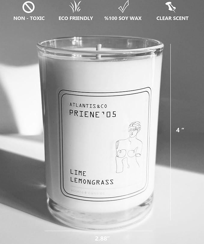 Lime Lemongrass Scented Candle, 8oz Soy Jar with Long-Lasting Burn, Giftable, Holidays,Birthdays
