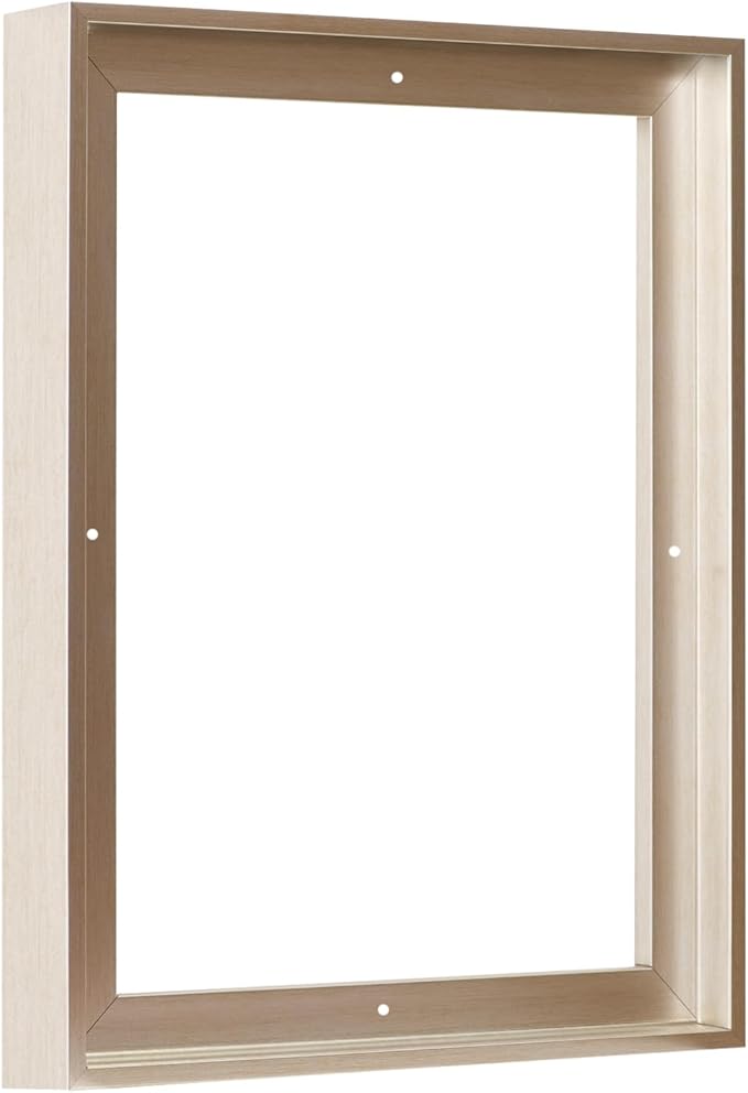 Pixy Canvas Floater Frame 14x18 for 1-1/2 (1.5) inch Deep Canvas Paintings/Canvas Prints/Wood Canvas Panels/Wall Art/Wall Decor/Home Decor/Artwork (Champagne, 14 x 18 inch, Portrait)