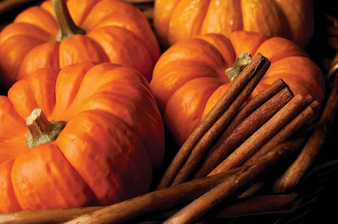 Root Candles Fall Scented Candles Honeycomb Premium Handcrafted Beeswax Blend Candle, Small Veriglass, Pumpkin Spice