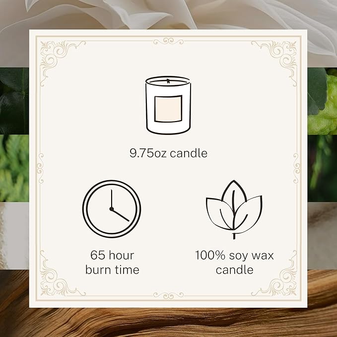 Hotel Lobby Miami Candle – Luxury Hand-Poured 9.75oz Soy Wax with Coconut, Sandalwood, and Bergamot – Infused with Essential Oils, 65-Hour Burn Time, Reusable Vessel, Clean Burn