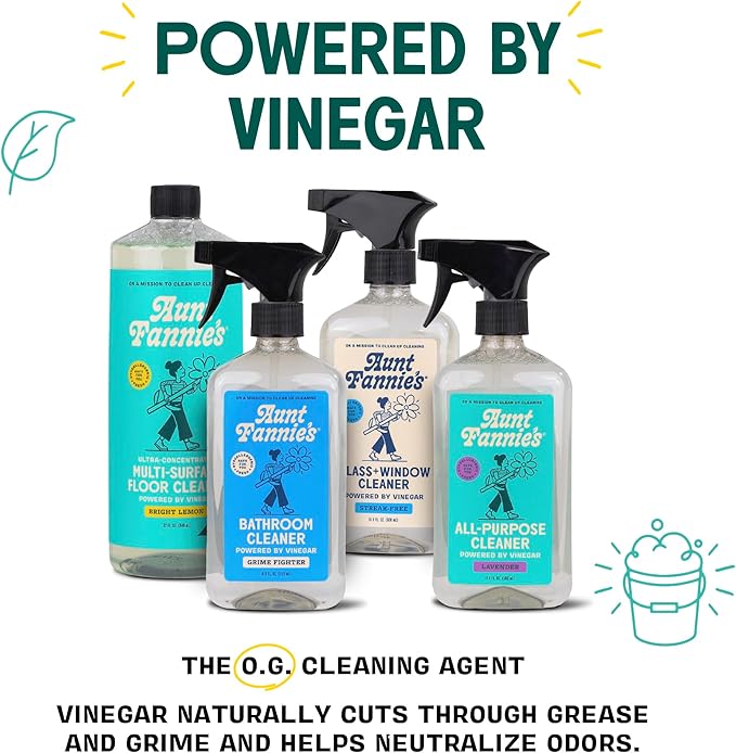 Aunt Fannie's All Purpose Household Cleaner, Multi-surface Spray, Powered by Vinegar for Kitchen, Bath, Windows and Countertops, Eucalyptus Scent (Pack of 1)