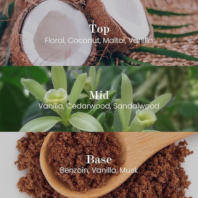 M&SENSE Natural Soy Candle| Vanilla Sandalwood | 5.3 oz | Mini Spring Scented Candles for Relaxation, Valentines Day Gift, Home Décor | for Bedroom, Office, Party Small