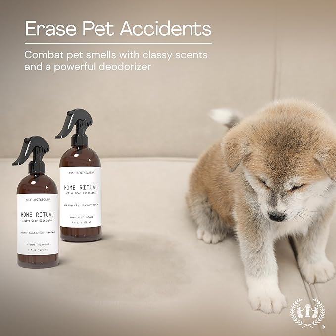 Muse Apothecary Home Ritual Active Odor Eliminator Spray - Furniture Deodorizer Spray & Bathroom Odor Eliminator for Home - Essential Oil Air Freshener - 4oz, Cara Orange + Fig + Blackberry Vanilla