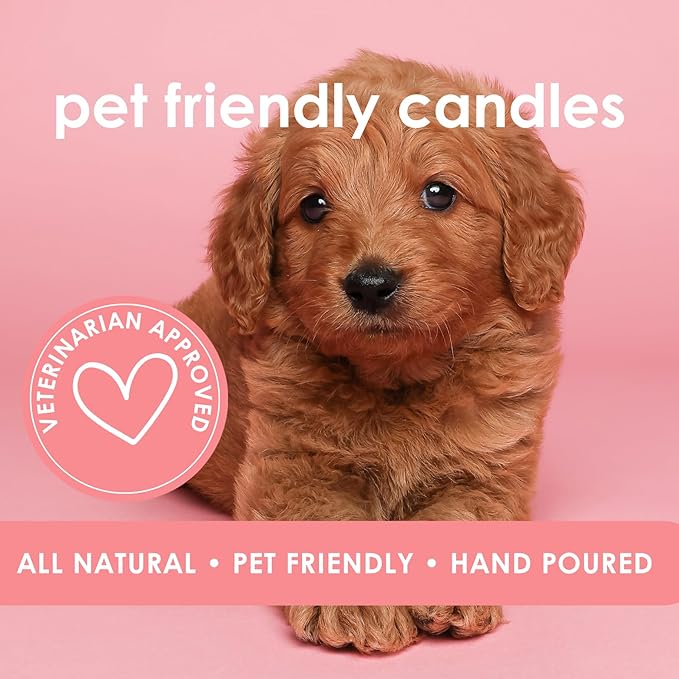 Harvest Howls | Mini Pet Friendly Candle | Pet Safe | All Natural Clean Burning Soy | Non-Toxic | Dog & Cat Safe | Pet Odor Eliminator | Air Freshening Scented Candle | 4 oz