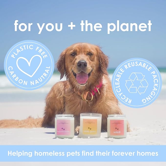 Horchata | Mini Pet Friendly Candle | Soy-Free Coconut Apricot Wax | Clean Burning | Non-Toxic | Veterinarian Approved | Pet Odor Eliminator | Air Freshening Scented Candle | 4 oz
