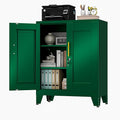 Green Metal Storage Cabinet, 36" Tall Locking Storage Cabinet with 2 Adjustable Shelves, Steel Locker Organizer, for Office, Home, School