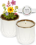 Hyggelight - The Growing Candle, Mint & Eucalyptus Scented, 9oz Ceramic Pot, Aromatherapy Candles, 100% Soy, Astrid