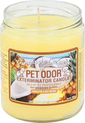 Pet Odor Exterminator Candle, Pineapple & Coconut - Pack of 2