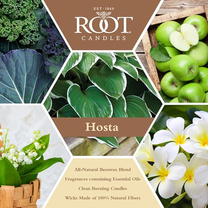 Root Candles Scented Candles in Travel Tin 24-Hour Honeycomb Traveler Handcrafted Beeswax Blend Candle, 4-Ounce, Hosta
