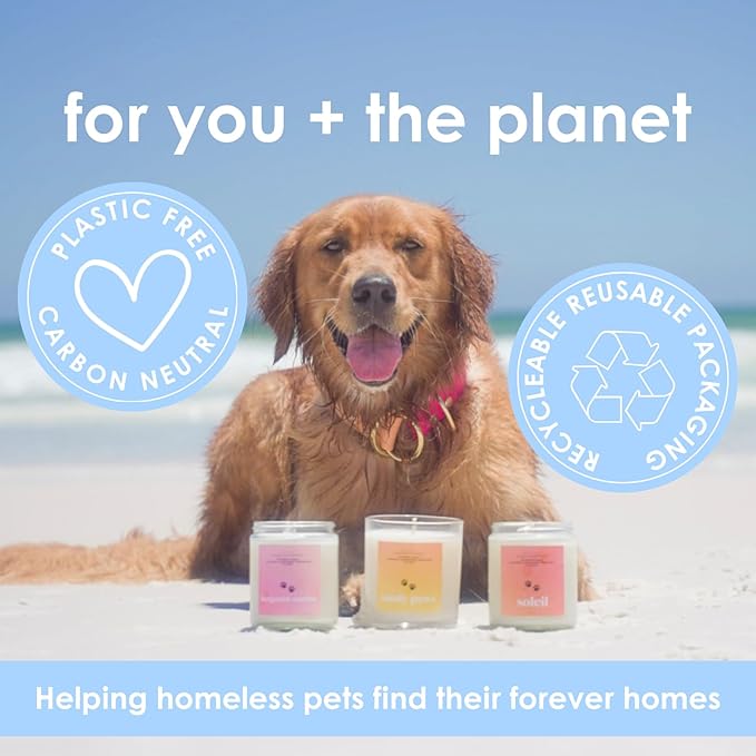 Harvest Howls | Mini Pet Friendly Candle | Pet Safe | All Natural Clean Burning Soy | Non-Toxic | Dog & Cat Safe | Pet Odor Eliminator | Air Freshening Scented Candle | 4 oz