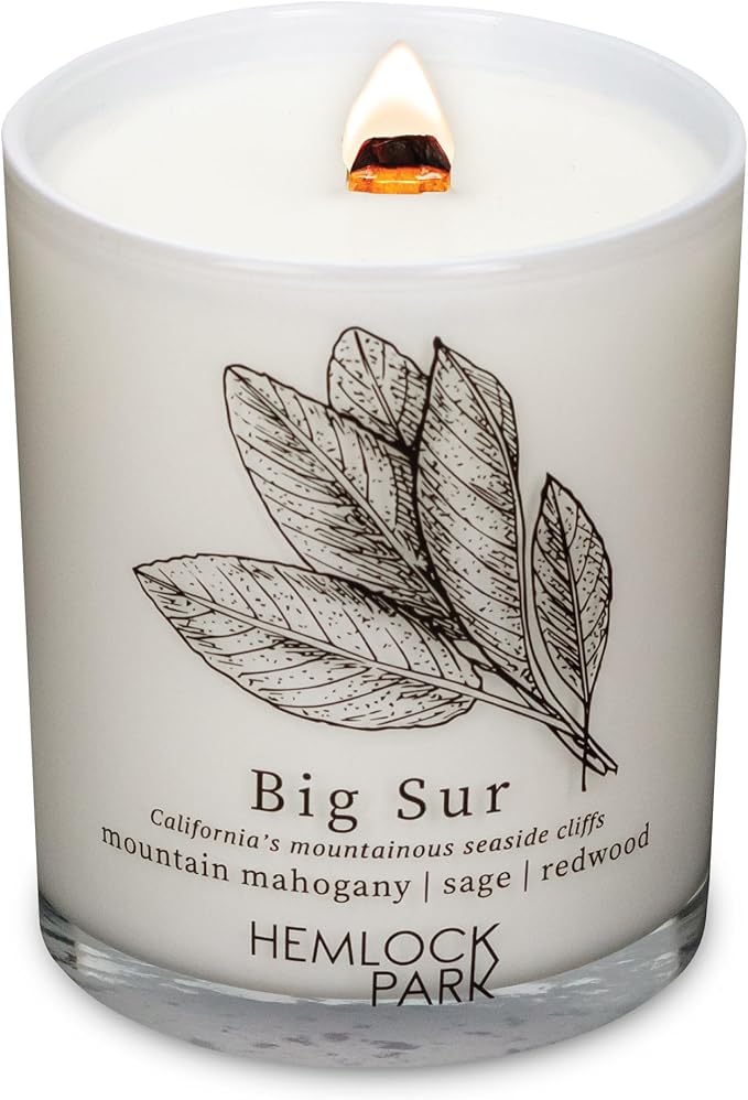 Hemlock Park Travel Inspired Passport Crackling Wood Wick Candle Handcrafted with Natural Plant-Based Coconut Wax (Standard 7.2 oz, Big Sur | Mountain Mohogany, Sage, Redwood)