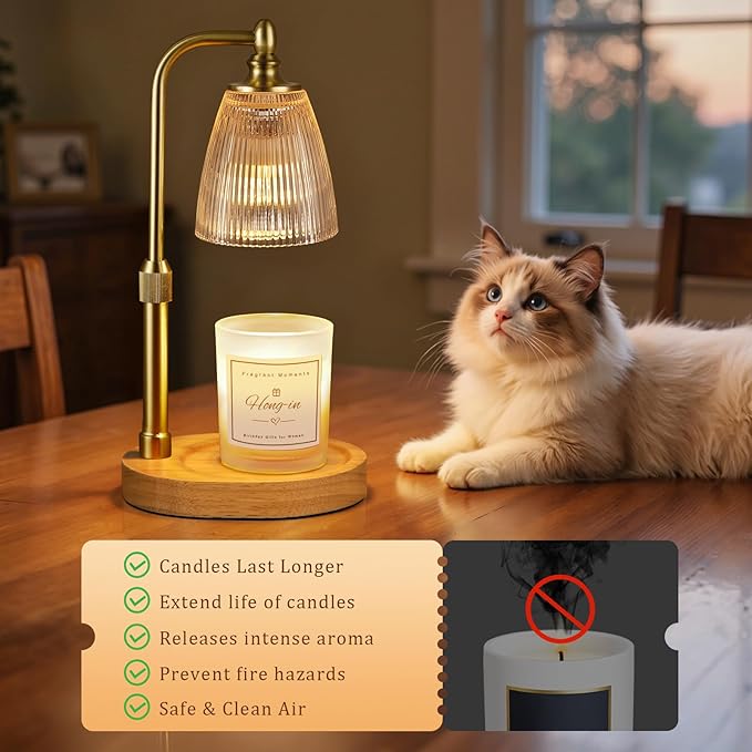 Hong-in Amber Candle Warmer Lamp with Timer Dimmable,Birthday Gifts for Women Sister,House Warming Gifts New Home,Adjustable Height Wax Melt Warmer for Jar Candles,Ideal for Office,Bedroom Home Decor
