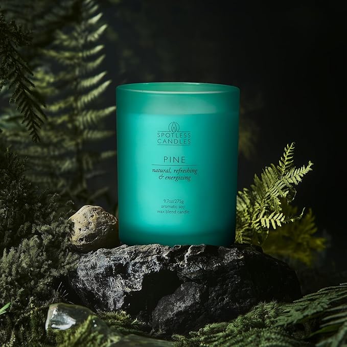 Pine Candle 9.7 oz: 55 Hrs Burn Time - Pine Scented Candles in Frosted Glass Jar with Wooden Crackling Wick in a Luxurious Gold Foil Lined Gift Box