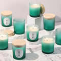 REISEN 12Pcs Gradient Green Candle Jars for Making Candles, 10oz Glass Jars with Bamboo Lids, Candle Wick Kit and Sticky Warning Labels, Candle Containers Vessels for DIY Gifts