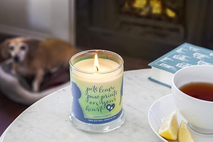 One Fur All Pet House Sentiments Candle - Lemon Verbena - Gift for Pet Lover - Pet Odor Eliminator Candle - Plant-Based Wax Candles - Non-Toxic - Pet-Friendly