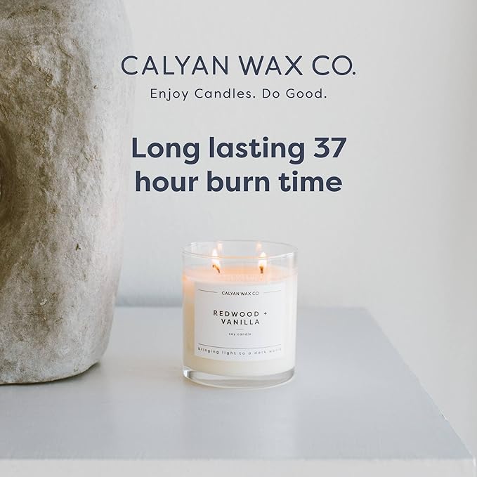 Calyan Wax Co. Aspen & Fog 2 Wick Scented Candle - 37 Hour Burn - Luxury Non Toxic Soy Wax Candles - Long Lasting Large Glass Jar Candle for Home - 8.8oz