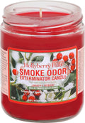 Smoke Odor Exterminator Candle, Hollyberry Hills