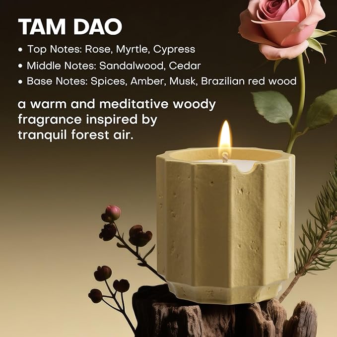 Scented Candles Set for Home, Natural Soy Wax Candle Gift, Non-Toxic Cement Jar Candles, Luxury Aromatherapy for Stress Relief, Highly Scented, Gifts for Women and Men (Tam Dao)
