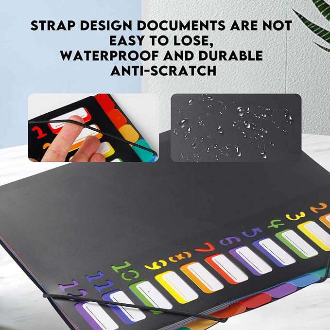 24 Pockets Expanding File Folder Organizer,Accordion File Organizer,A4 Letter Size,Rainbow Tab, for Home/Office/School Document Organizer (Black)