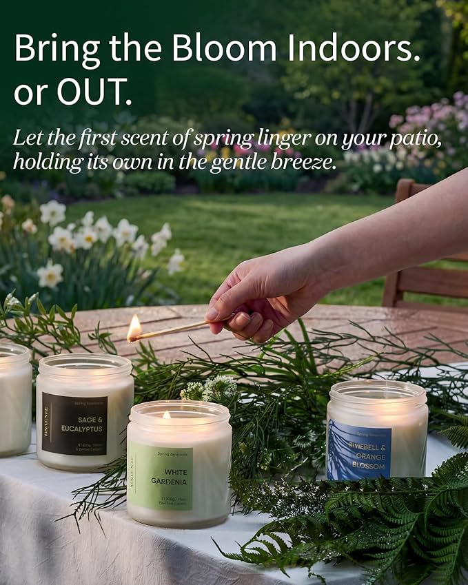 M&SENSE Lemongrass Verbena Scented Candles for Home, 11.6oz Organic Soy Wax, 70 Hours Long Lasting, Natural Non Toxic Clean Burn, 2 Wicks Herbal Smelling Aromatherapy Candle in Large Jar for Cleansing
