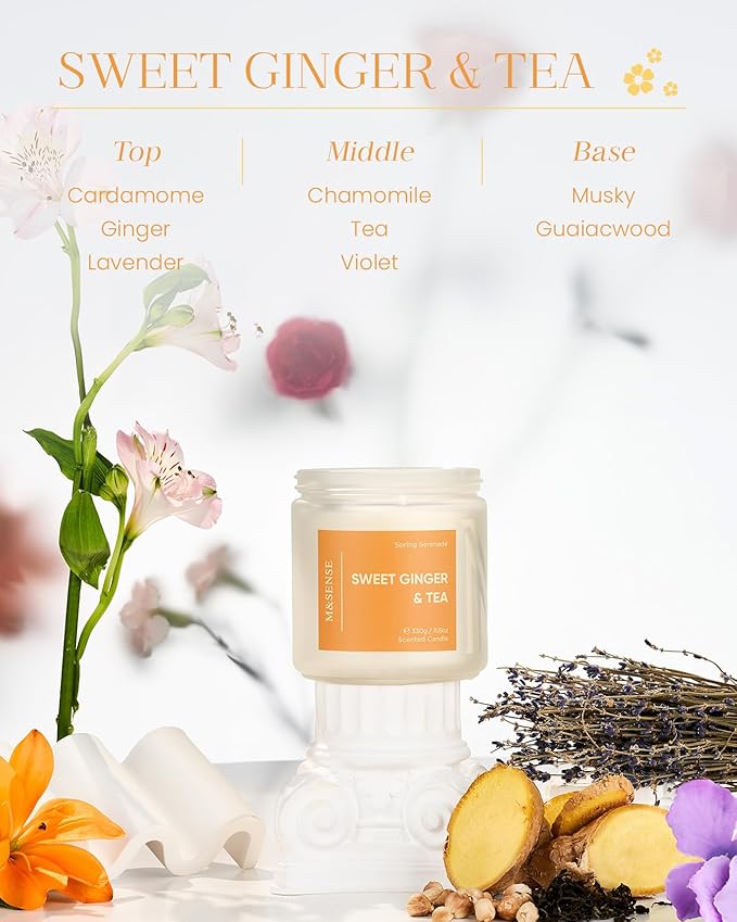 M&SENSE Sweet Ginger & Musky Scented Candle - 11.6oz Natural Soy Non Toxic Candle 70-Hour Burn Time, 2 Wick Aromatherapy Housewarming Gifts for Easter Home Decor & Women Men