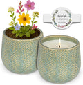 Hyggelight - The Growing Candle, Lavender Scented, 10oz Ceramic Pot, Single Wick Aromatherapy Candles, 100% Soy for Women and Men, Ida