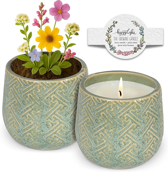 Hyggelight - The Growing Candle, Rosemary & Sage Scent, 10oz Ceramic Pot, Single Wick Aromatherapy Candles, 100% Soy for Women and Men, Ida