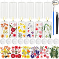 MTLEE 24 Pack Dried Pressed Flower Candle Painting Kit 6 White Pillar 6 Dried Pressed Flower 10 Tealight Candle Tweezer Brush for Galentines Girls Night Birthday Wedding Party DIY Crafts(4 Inch)