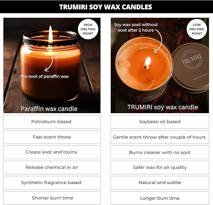Winter Woods - Soy Candles for Home Scented - for Fall Christmas Holidays - 5oz Natural Clean Non Toxic - Long Lasting Highly Scented Pet Safe Luxury Tin - Velas Aromáticas Para el Hogar - Pine Candel