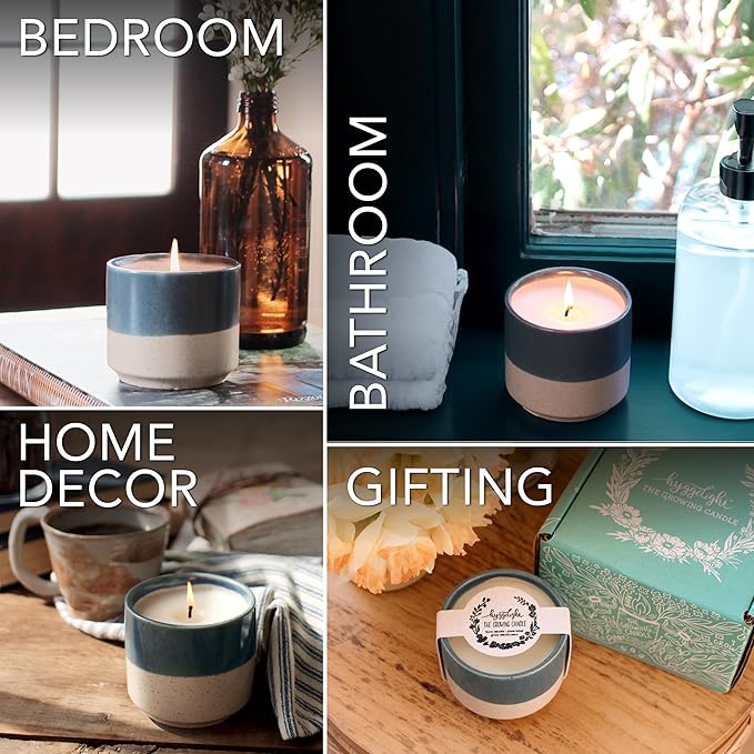 The Growing Candle, Unscented Fragrance Free Candles, 8.5oz Ceramic Pot, 100% Soy, Willow