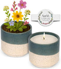 Hyggelight - The Growing Candle, Rosemary & Sage Scent, 8.5oz Ceramic Pot, Single Wick Aromatherapy Candles, 100% Soy for Women and Men, Willow