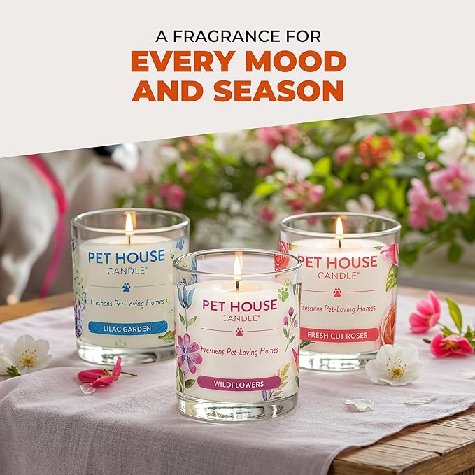 Pet House Pet Odor Candle Plant Based Scented Candle Clean Burning, Long Lasting for Home, Evergreen Forest