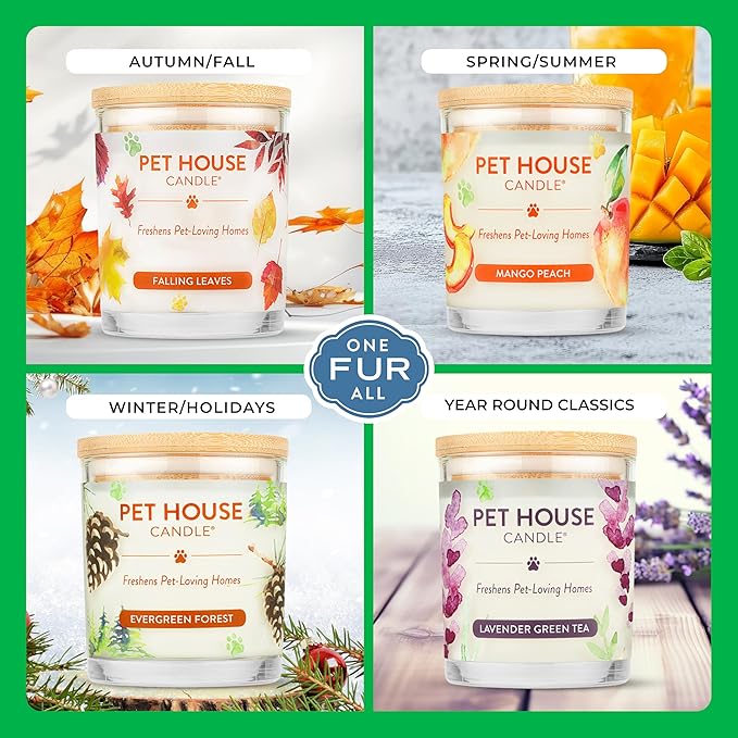 Pet House Pet Odor Candle Plant Based Scented Candle Clean Burning, Long Lasting for Home, Gingerbread Cookies 2 Pack