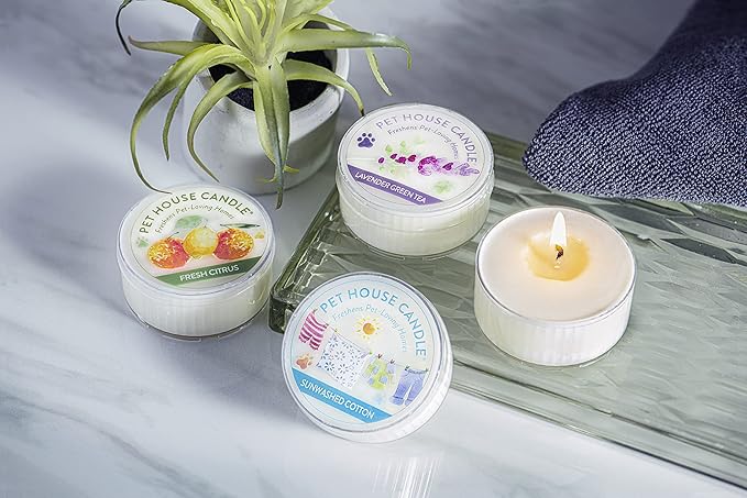 Pet House Mini Candles for Pet Odor Made with Natural Soy Wax, Plant Based, Dog and Cat Friendly Scented, Tropical Fruit Pack of 3